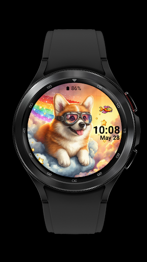 corgi dog_003 screenshot 3