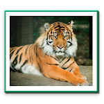 Cover Image of Download Wild Life (Protection)Act 1972  APK