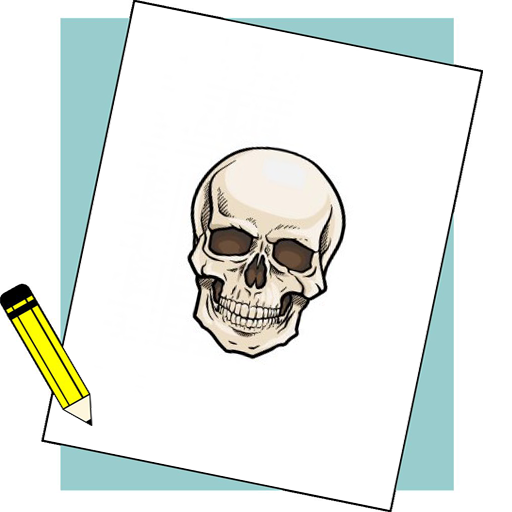 How To Draw Skull