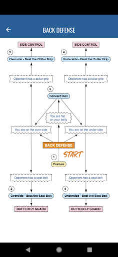 BJJFlowCharts Screen 3