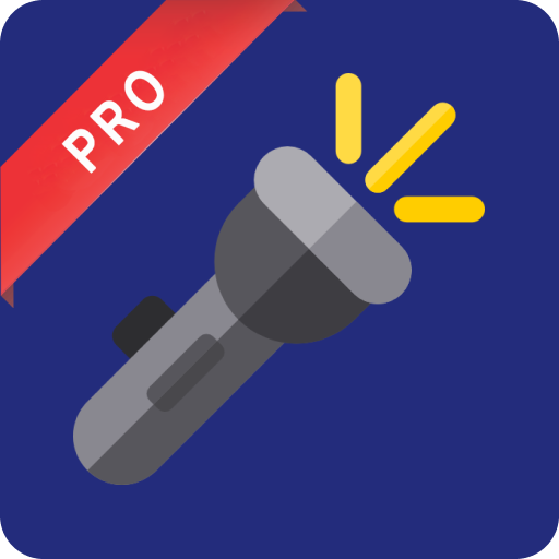 Pro Flash Light - 2023 logo