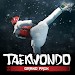 Taekwondo Grand Prix