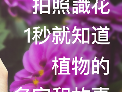 植物 色 310294-植物色素的颜色显现受到哪些因素的影响