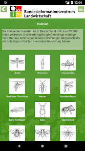 Beneficial insects in the garden