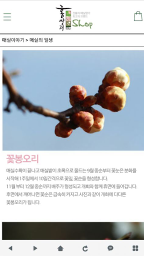 홍쌍리 - maesil Screen 2