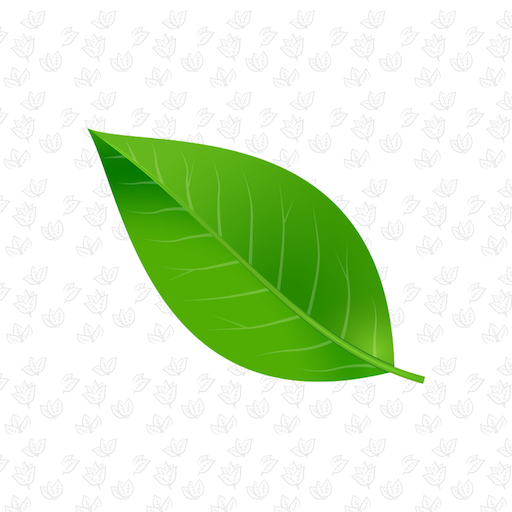 The Smoke Cellar logo