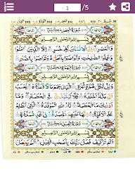 Last 10 Surah of Quran - PARA 30 Juz Amma(جزء عمّ)