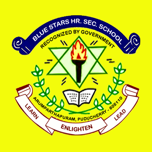 BLUE STARS SCHOOL logo