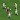 Top Scorer 2