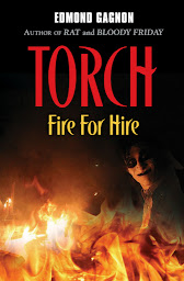 Obraz ikony: Torch: Fire For Hire