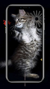 Cat Live Wallpapers