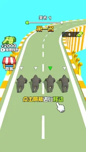 Running Zoo