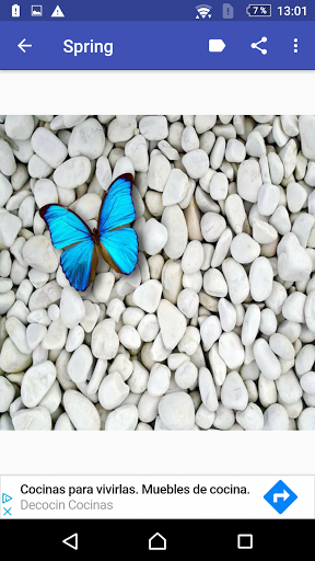 Springtime Hello Spring