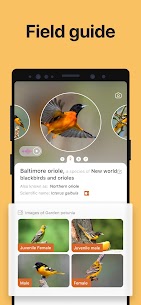 Picture Bird – Bird Identifier MOD (Premium) 4