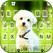 Top 44 Personalization Apps Like Cute Innocent Puppy Keyboard Background - Best Alternatives