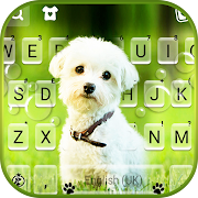 Cute Innocent Puppy Keyboard Background