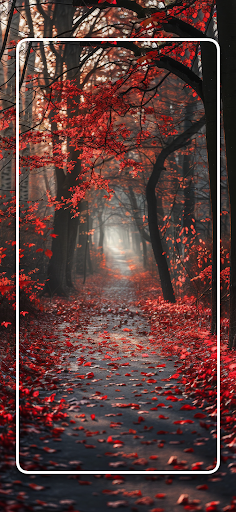 Screenshot of Autumn Wallpapers Nature 4K HD