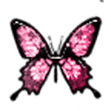 THEME - Graceful Butterfly icon