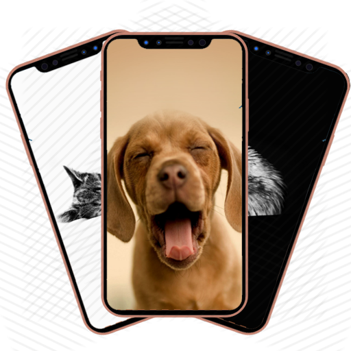 Animals Android Wallpapers