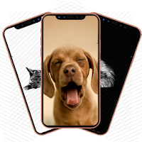 Animals Android Wallpapers