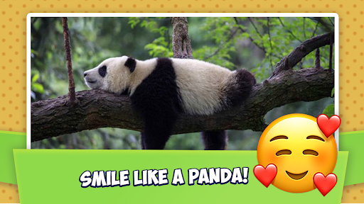 Learning for Kids Flashcards