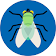 ObsIdentify - Vliegen en Muggen icon