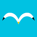 Bird’s Drops icon