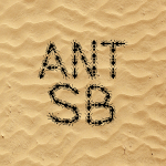 Cover Image of Download Ant Sandbox  APK