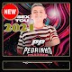 Pedrinho Pisadinha Musica HD 2021 Télécharger sur Windows
