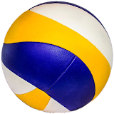 Beach Volley Scout icon