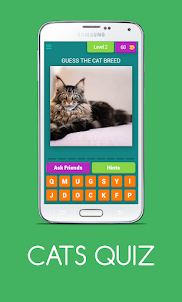 CATS QUIZ