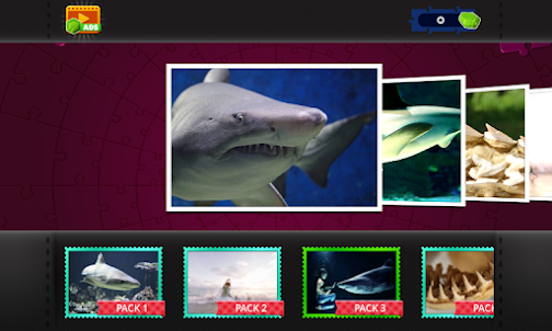 Shark Jigsaw - Puzzle Games