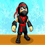 Ninja Mortel Shadow surfers icon