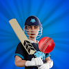 Cricket Sixes Game icon