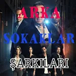 Cover Image of 下载 Arka Sokaklar Şarkıları 2021-(interenetsiz) 2.0 APK