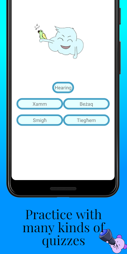 MTL Learn Maltese Words Screen 3
