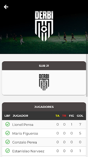 Derbi Screen 2