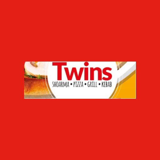 Twins logo
