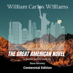 Icon image The Great American Novel
