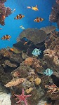 screenshot of Ocean Fish Live Wallpaper