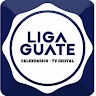 download LIGA GTV apk