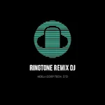 Cover Image of Herunterladen Ringtone Remix DJ  APK