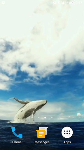 Android application Whale HD Video Live Wallpaper screenshort