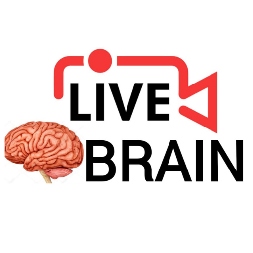 Living brain. Google Brain.