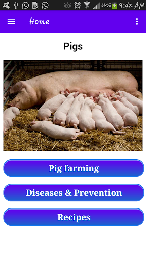 Android application Pig - Pig Farming, 养猪业 , cerdo screenshort