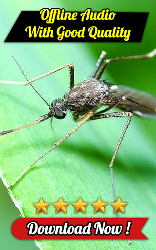 MOS - Mosquito Sounds