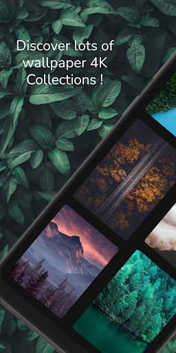 Android application Aesthetic Forest Wallpaper 4K screenshort