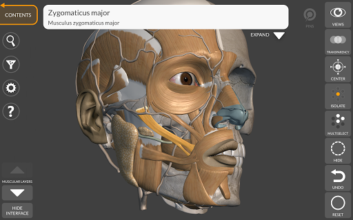 Screenshot of 3D Anatomy for the Artist