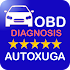 Diagnosis Faults Electronics Cars OBD21.0.223