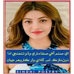 Cover Image of ダウンロード Sindhi Poetry  APK